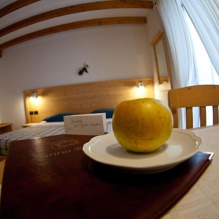 Villa Agritur Renetta à Tassullo Extérieur photo
