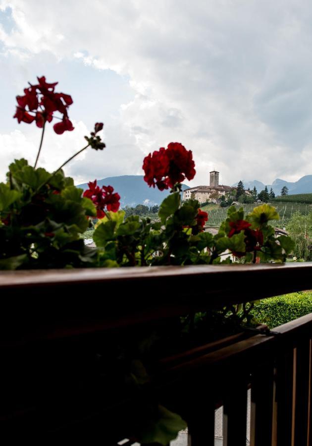 Villa Agritur Renetta à Tassullo Extérieur photo
